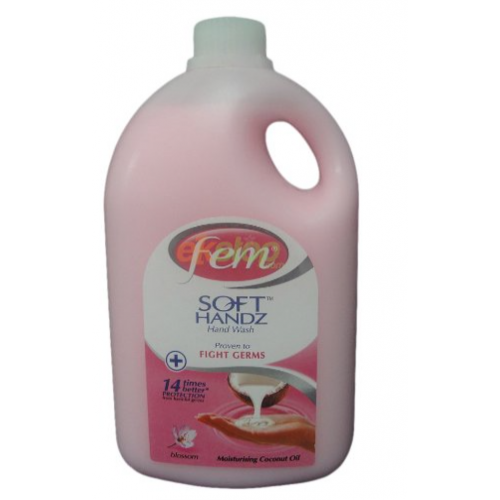 Fem Taski Soft Care Hand Wash Blossom 1 Litre