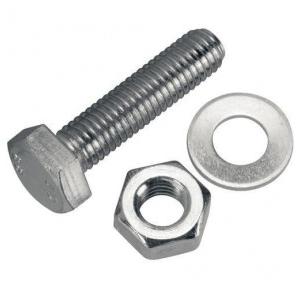 Nut Bolt With Double Washer SS M6