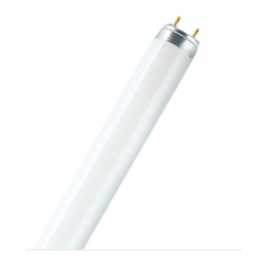 Osram 20W T8 Fluorescent Tubelight (Cool Daylight)