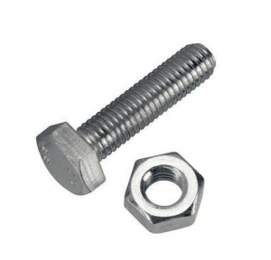 SS Nut Bolt, Length: 1/2 inch