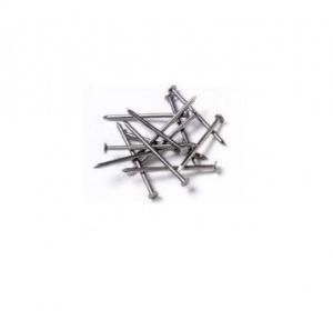 SS Nails With Head 2.5inch 12no