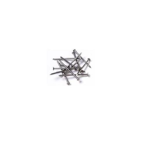 SS Nails With Head 2.5inch 12no