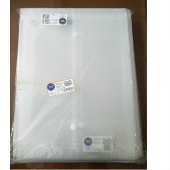 Worldone DC202 A4 My Clear Bag, Size: A4