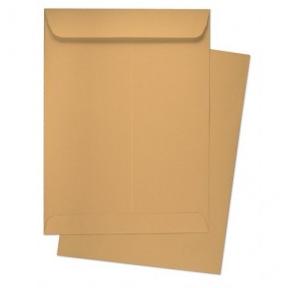 Brown Envelope, 80 GSM, Size - 10x4.5 inch