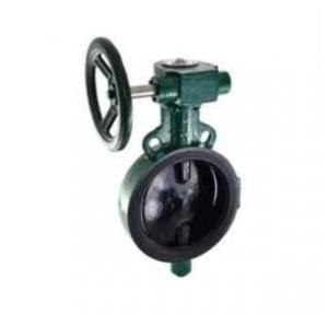 Zoloto Gear Operated Butterfly Valve 250mm