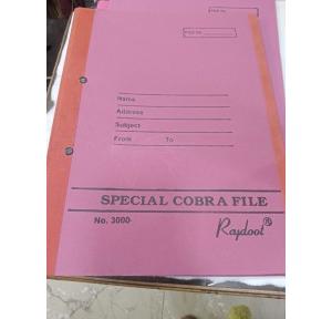 Rajdoot Flat File 3000 With Cloth Border