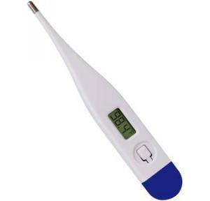 Digital Thermometer