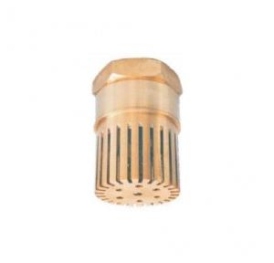 Foot Valve 100mm