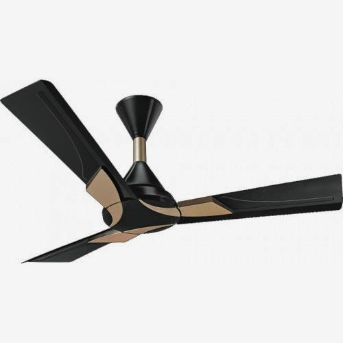 Orient Electric Wendy Ceiling Fan Metallic Black - Gold 48