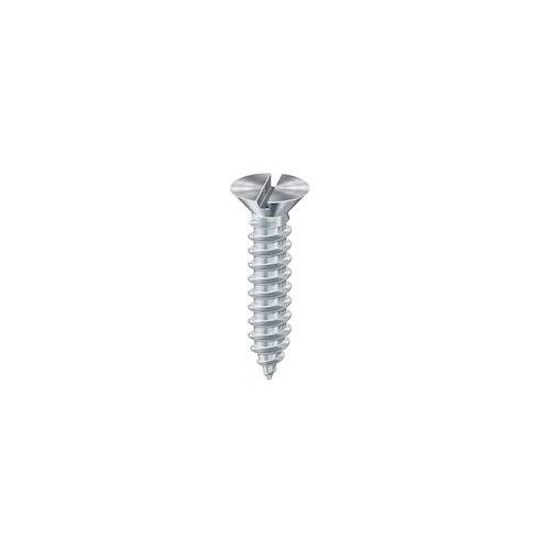 Metal Screw 50mm x 6 inch