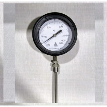 H Guru Vertical Shape Temperature Gauge