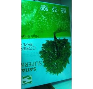 Satia A3 Copier Paper, 75 GSM, 500 Sheets