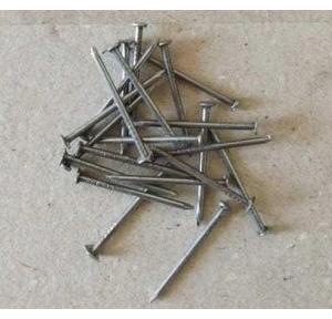 Iron Nail 17 No. 1 inch, 1 kg