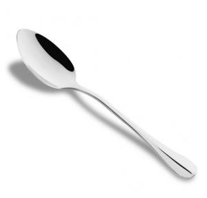 Spoon SS 16 cm 16 gauge
