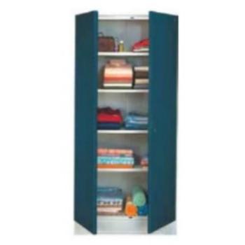 Godrej Steel Almirah 4 Shelves 2 Doors Pacific Blue W35.4xH76.7xD19.9 CM