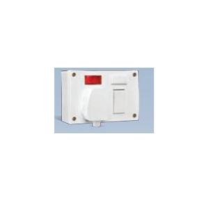 Anchor Penta Ivory 6A/16A, Capton, 5-In-1 Combined with Box & 16A ISI Plug and 4 Fixing Holes 240V 50Hz, 51351