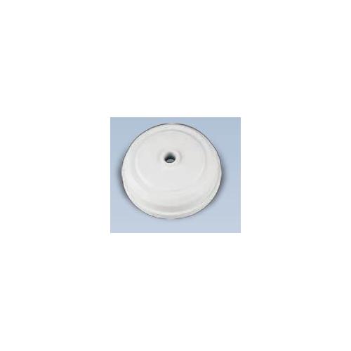 Anchor Penta Ivory 6A Pilot 2 Plate Ceiling Rose 240V 50Hz, 3257