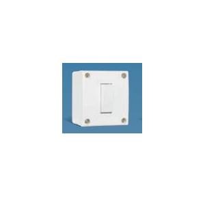 Anchor Penta Ivory Capton 20A 1 Way Switch with Box 240V 50Hz, 50963