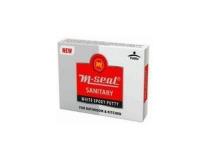 Pidilite M-Seal 1 Gram